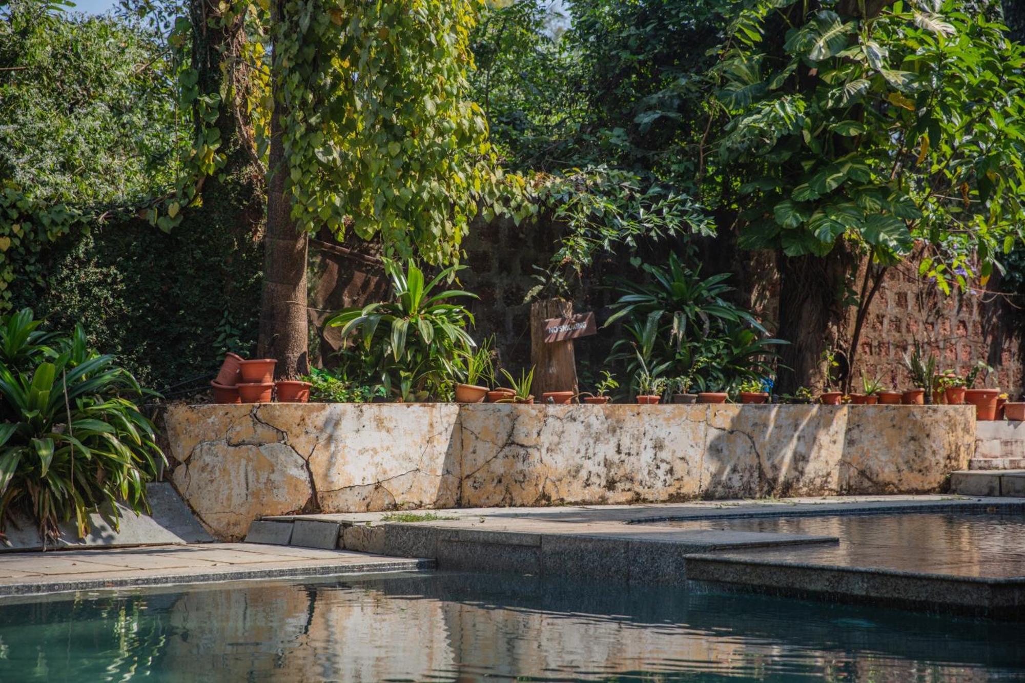 Satori Wellness Cottages I Yoga, Sauna, Ice Bath, Holistic Therapies & More Мандрем Экстерьер фото