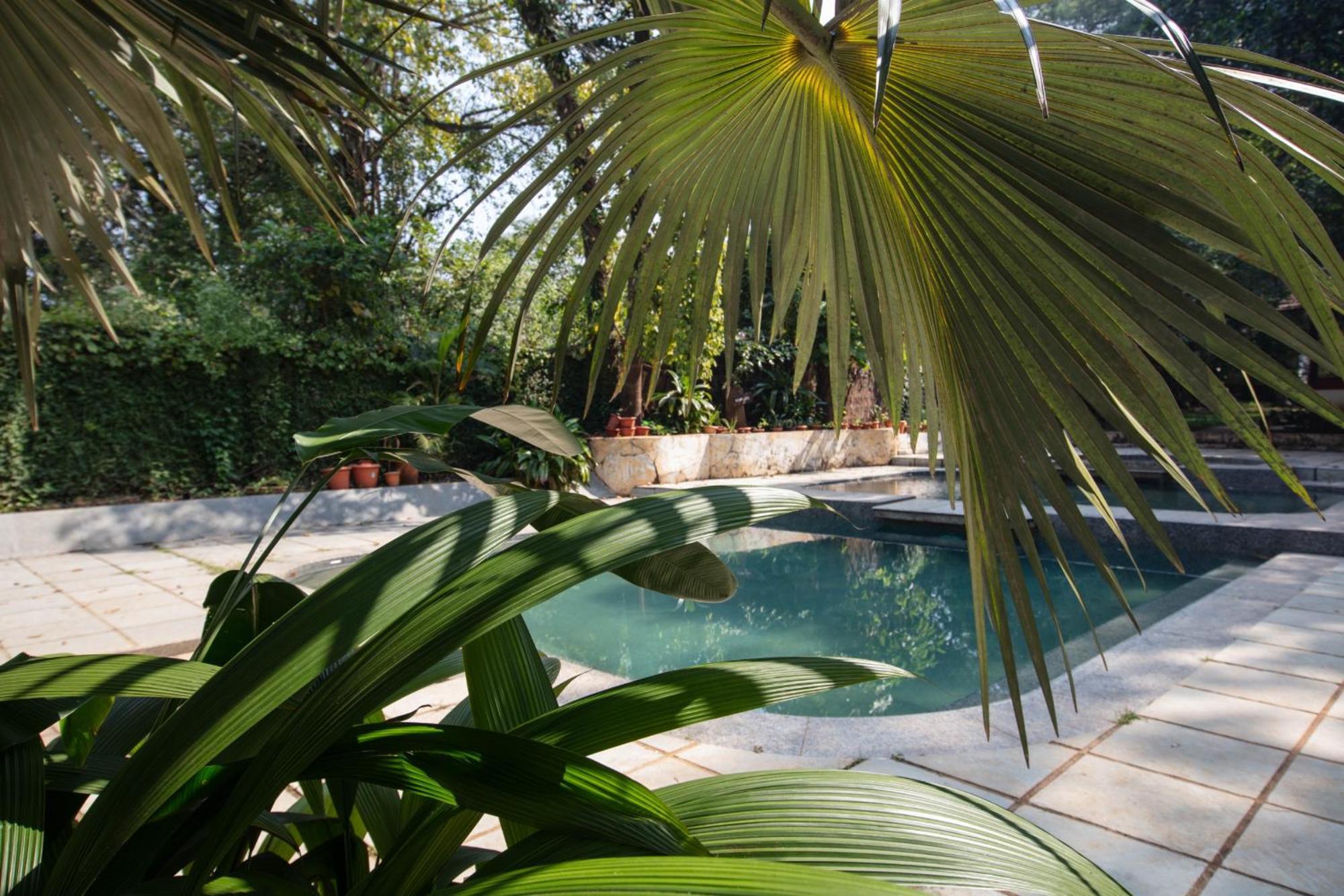 Satori Wellness Cottages I Yoga, Sauna, Ice Bath, Holistic Therapies & More Мандрем Экстерьер фото